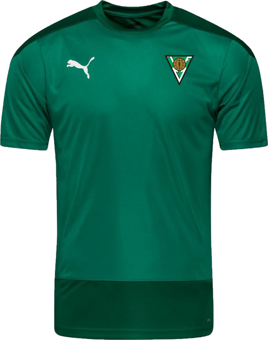 Völsungur Teamfinal bolur