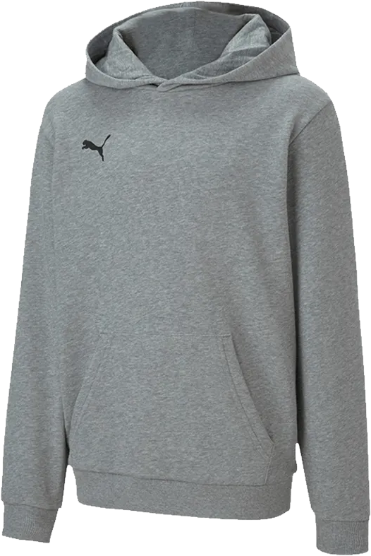 Puma teamGOAL23 Hettupeysa - Grá